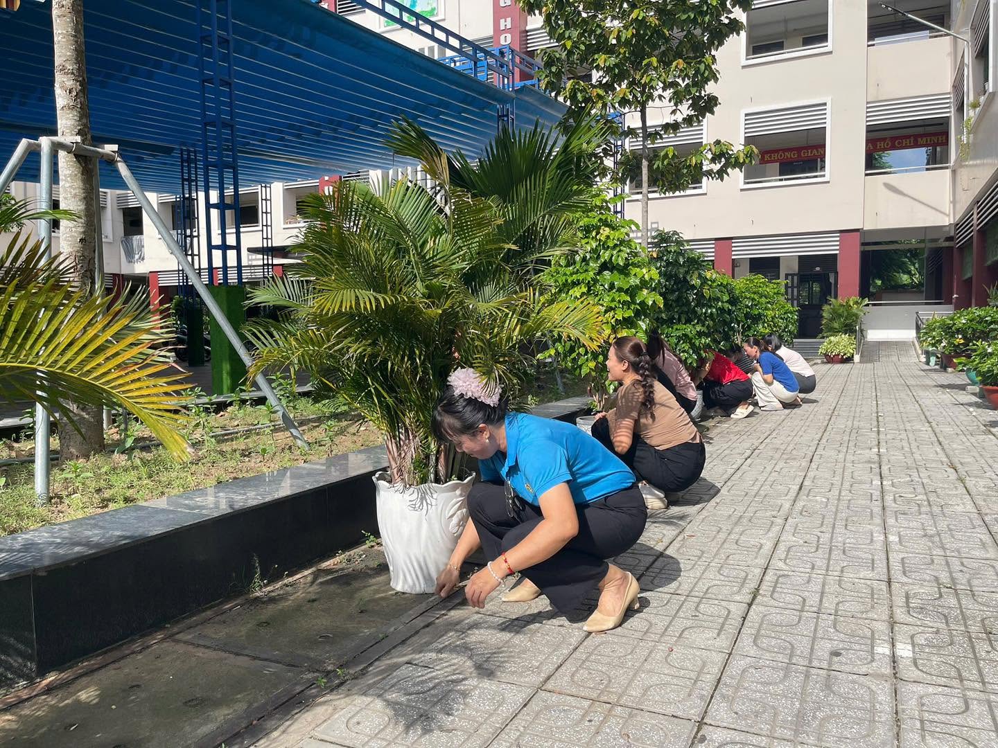 LAO ĐỘNG CHÀO NĂM HỌC MỚI
